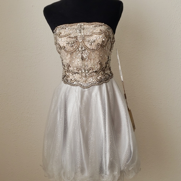Amelia Couture Dresses & Skirts - Strapless Silver Nude Short Beaded Bodice Dress